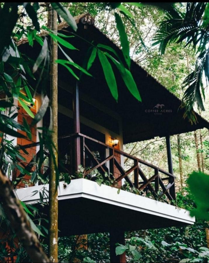 Coffee Acres Resort Kalpetta Eksteriør billede