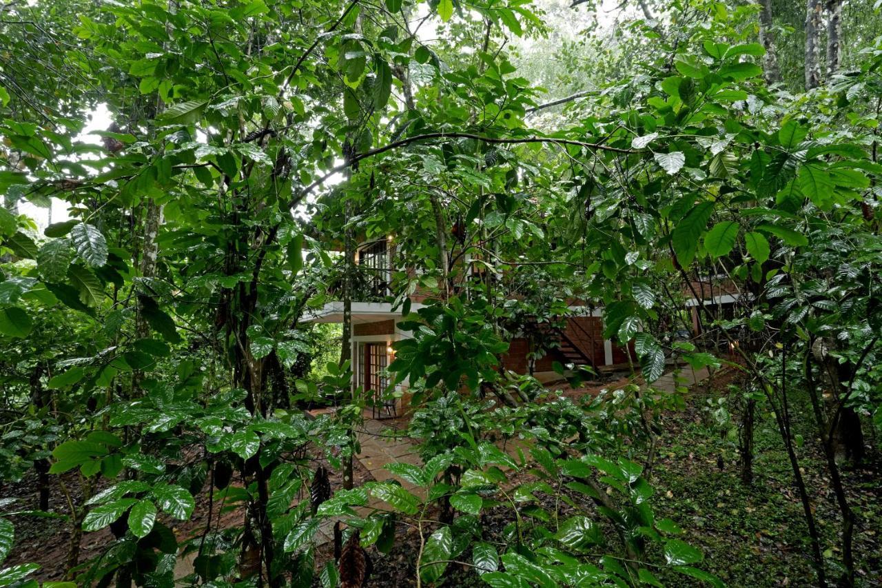 Coffee Acres Resort Kalpetta Eksteriør billede