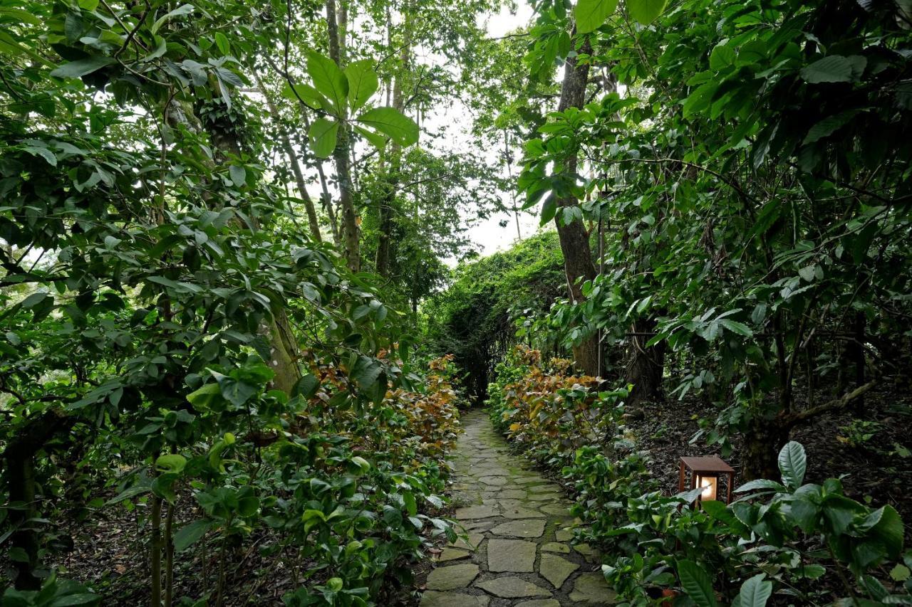 Coffee Acres Resort Kalpetta Eksteriør billede