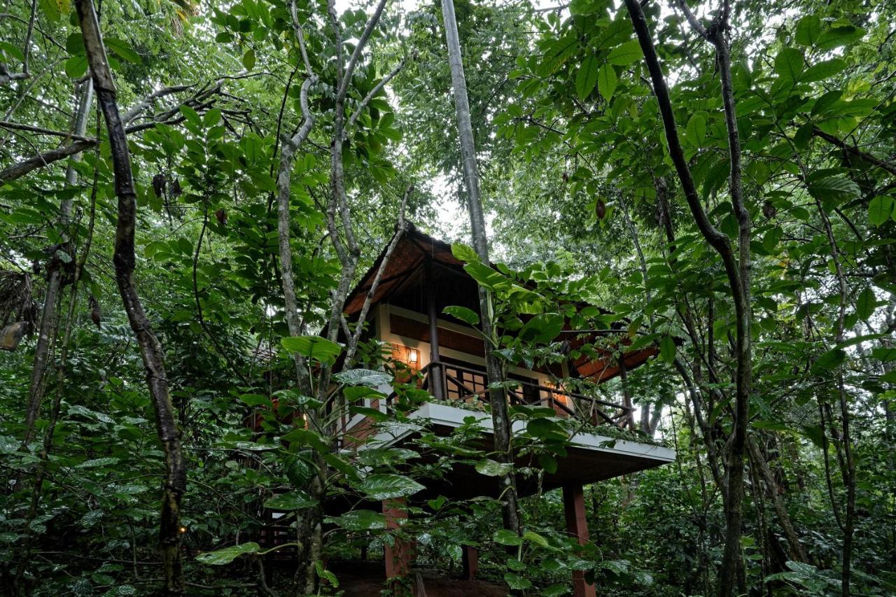Coffee Acres Resort Kalpetta Eksteriør billede