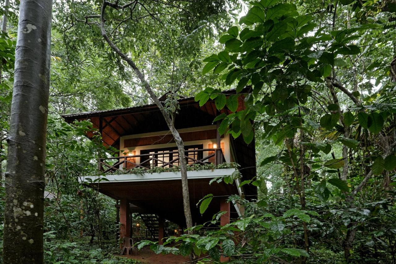 Coffee Acres Resort Kalpetta Eksteriør billede