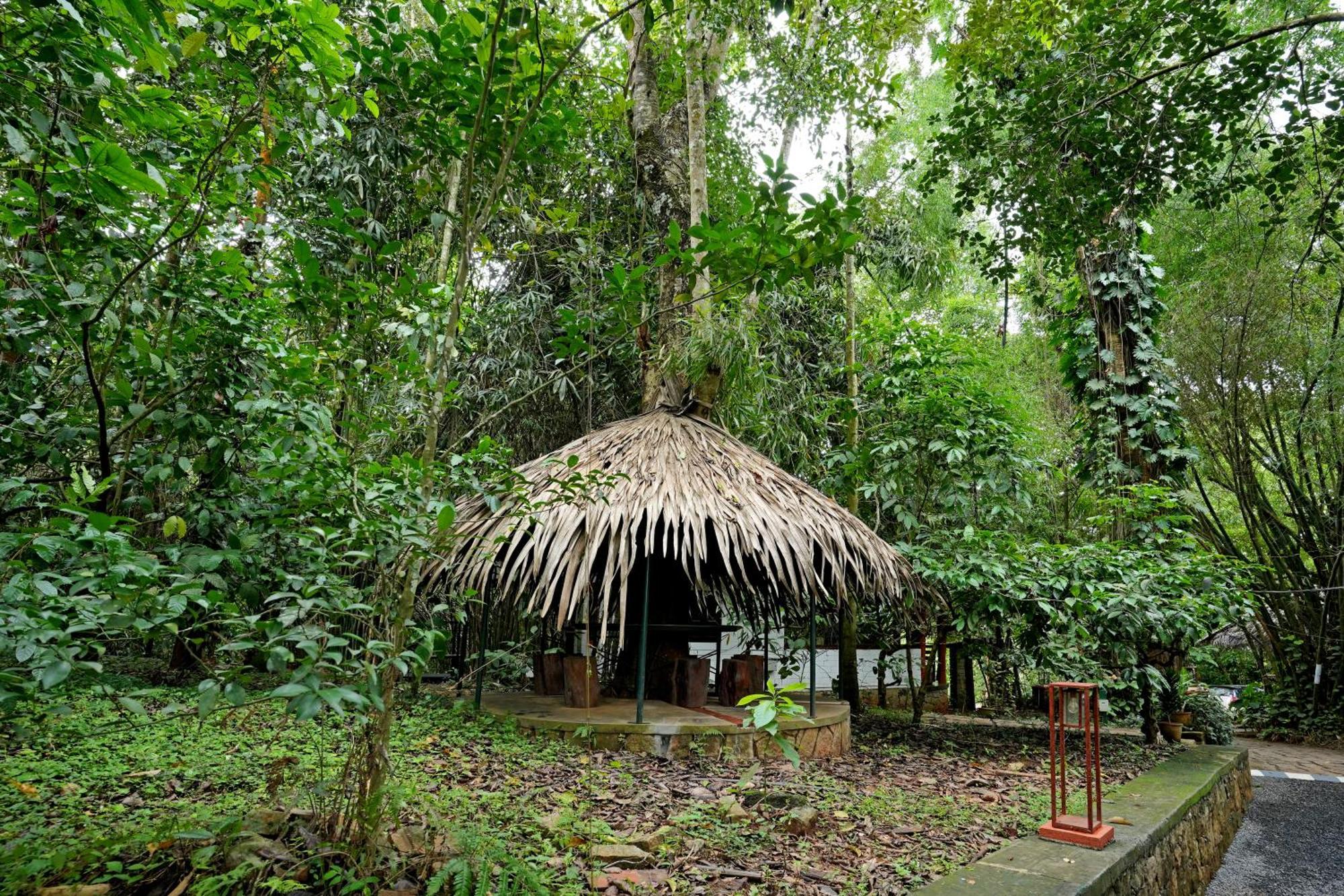 Coffee Acres Resort Kalpetta Eksteriør billede