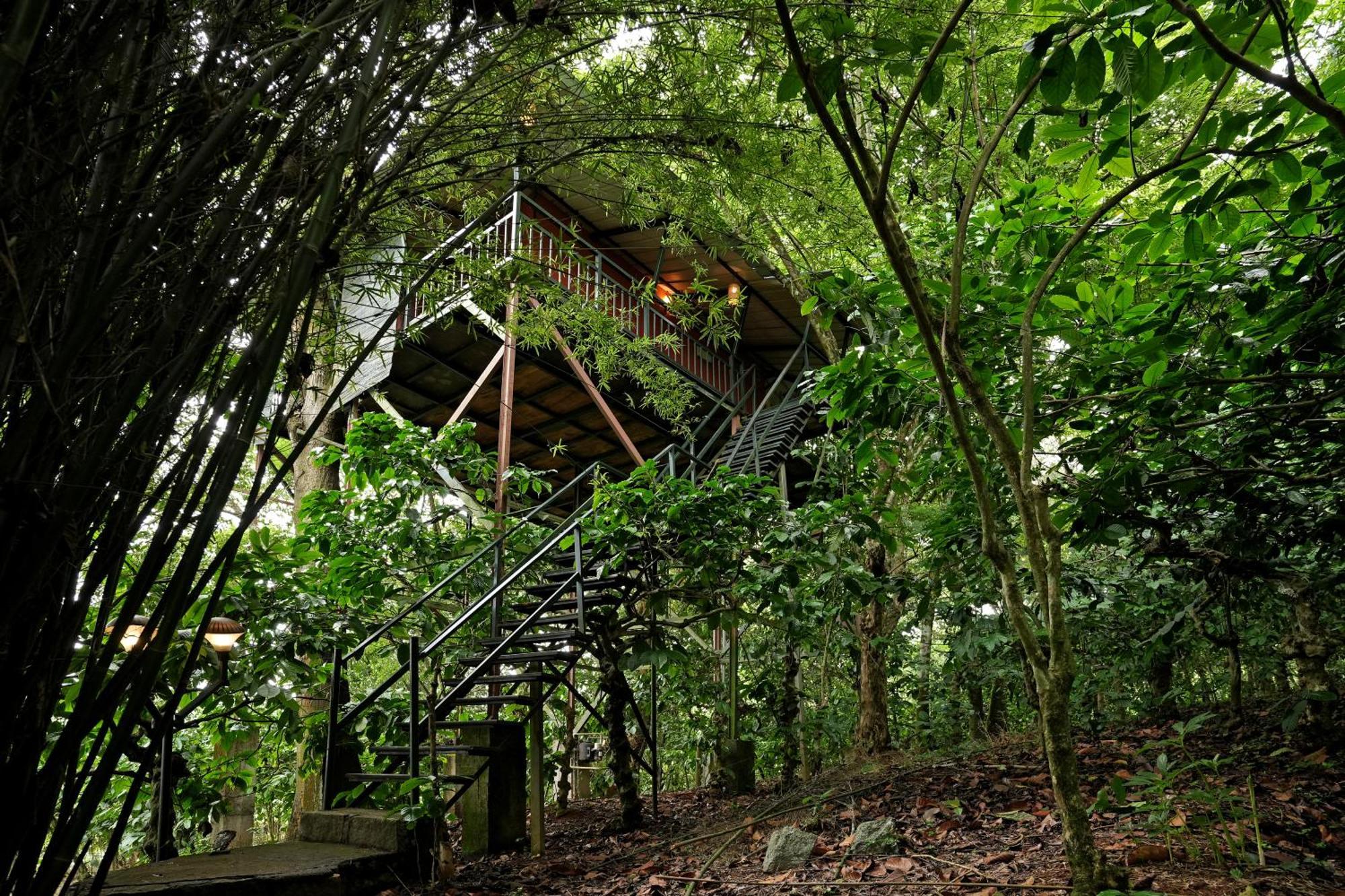Coffee Acres Resort Kalpetta Eksteriør billede